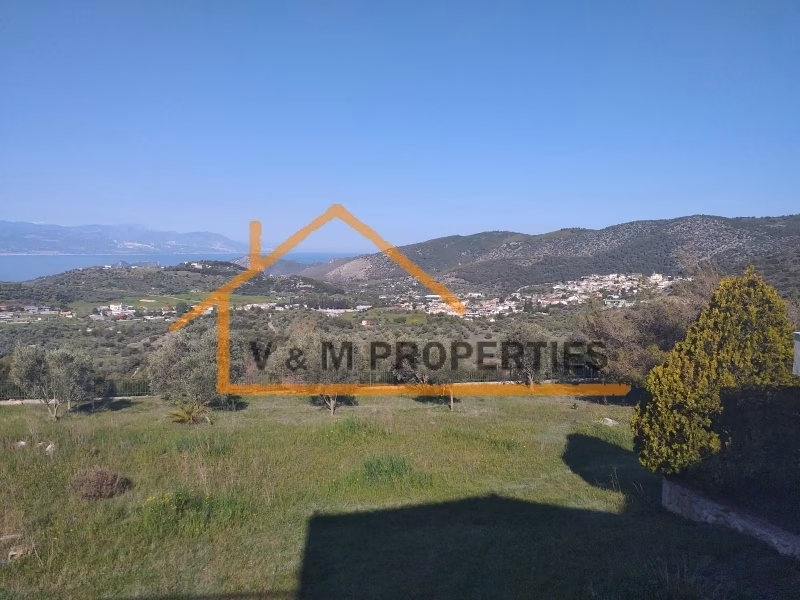 Property view 14
