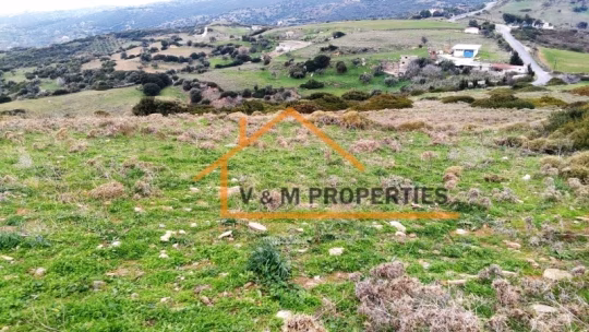 Πωλείται Αγροτεμάχιο 8000 τ.μ
