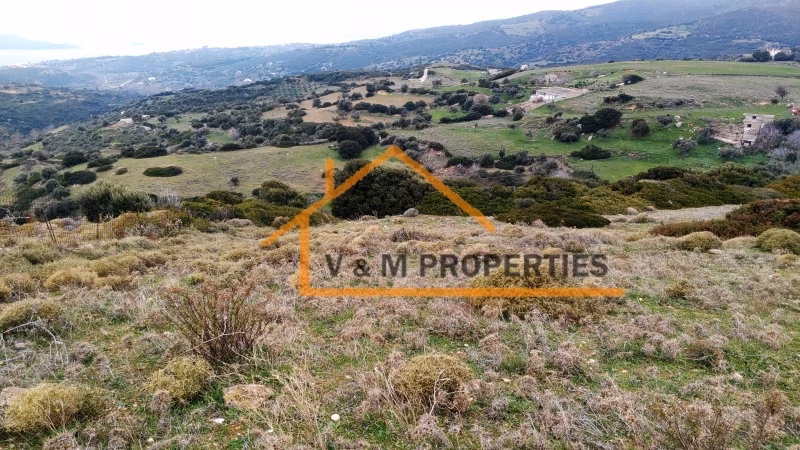 Property view 5