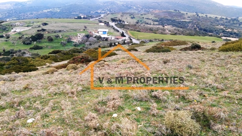 Property view 7