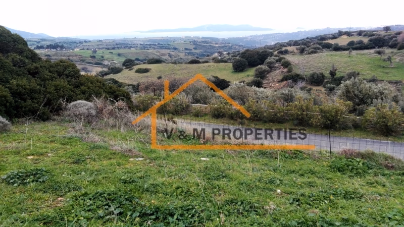 Property view 10