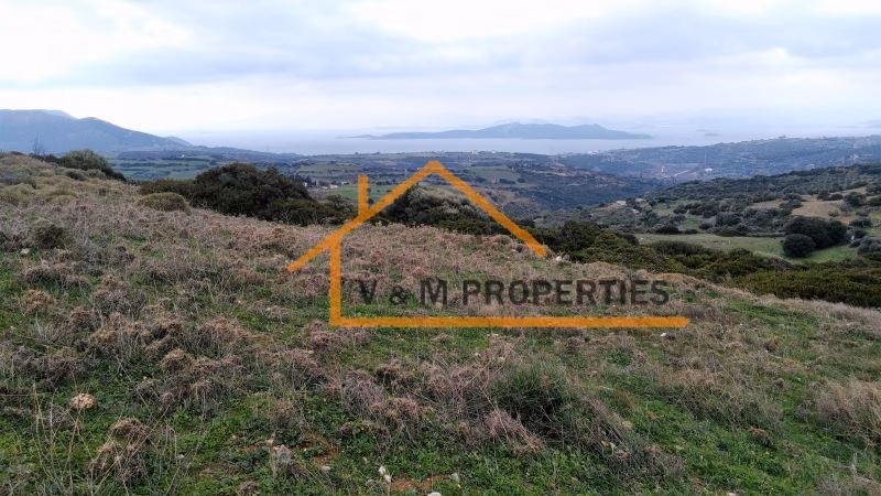 Property view 8