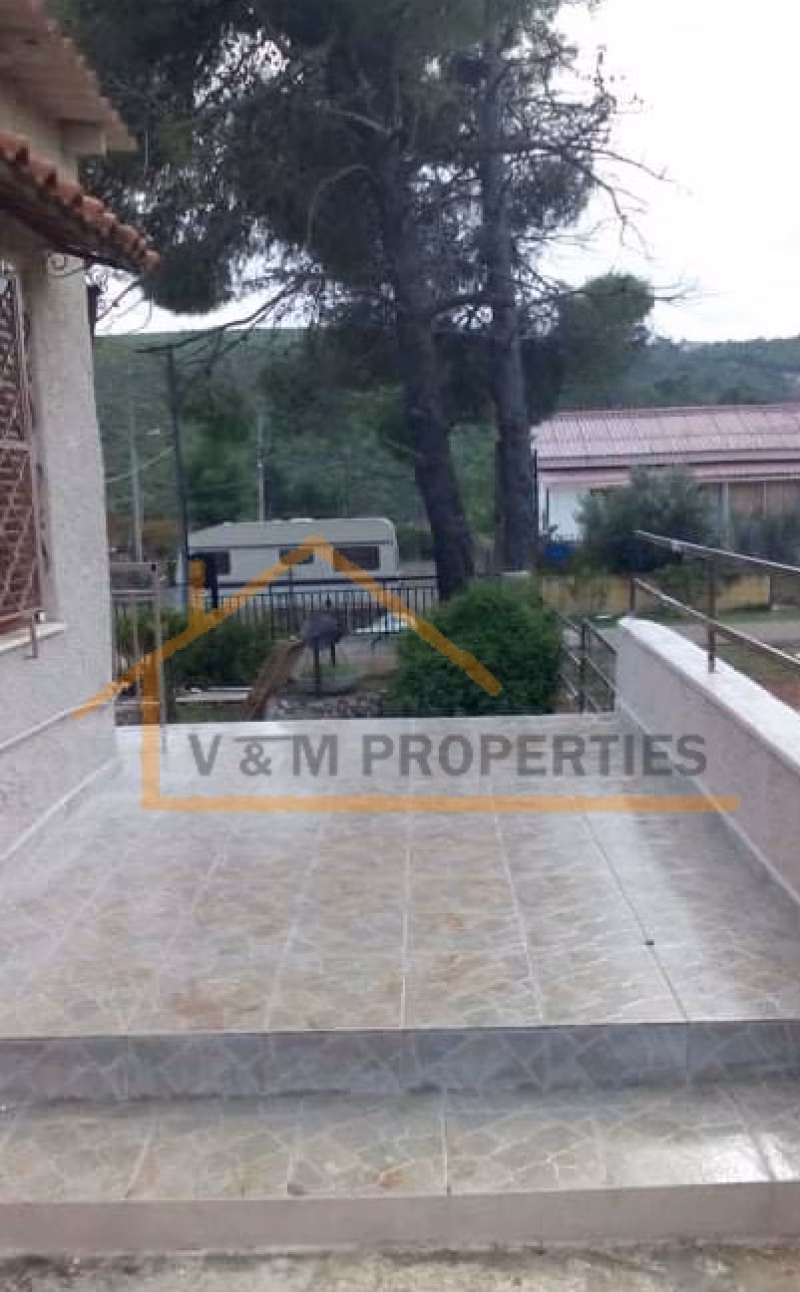 Property view 10