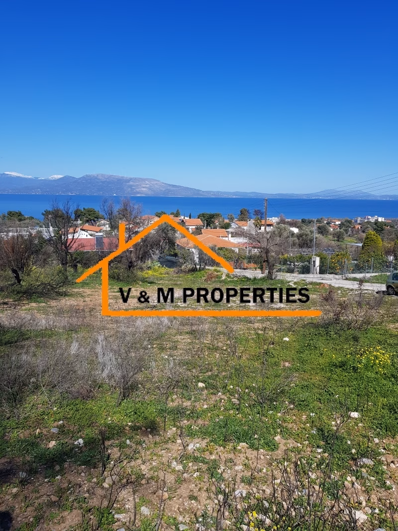 Property view 11