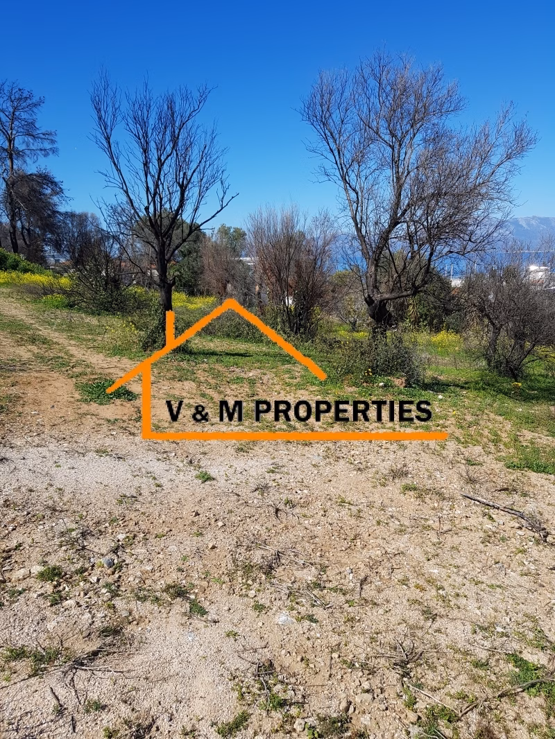 Property view 8