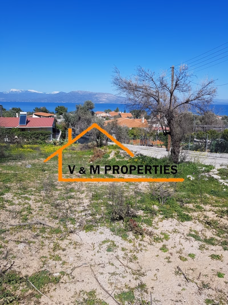 Property view 9