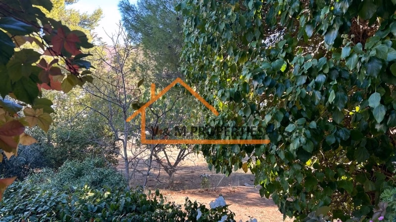 Property view 19