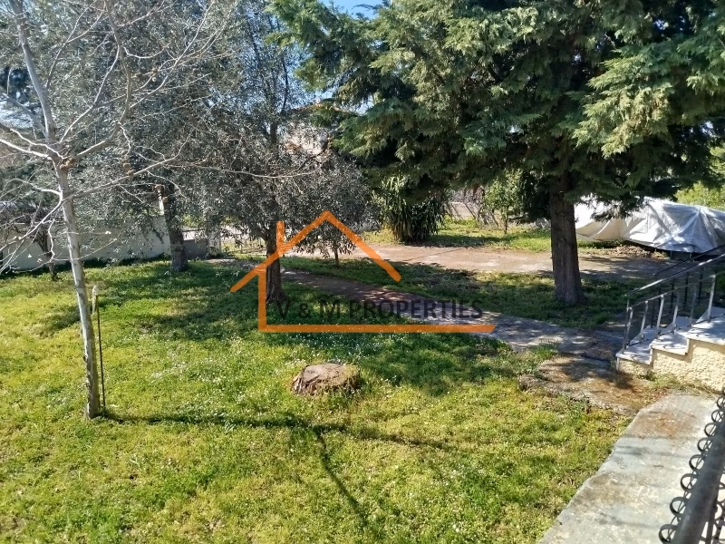 Property view 7