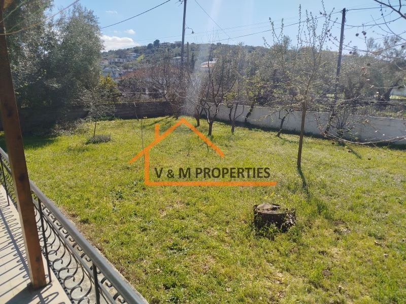 Property view 5