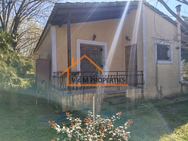 Property view 3