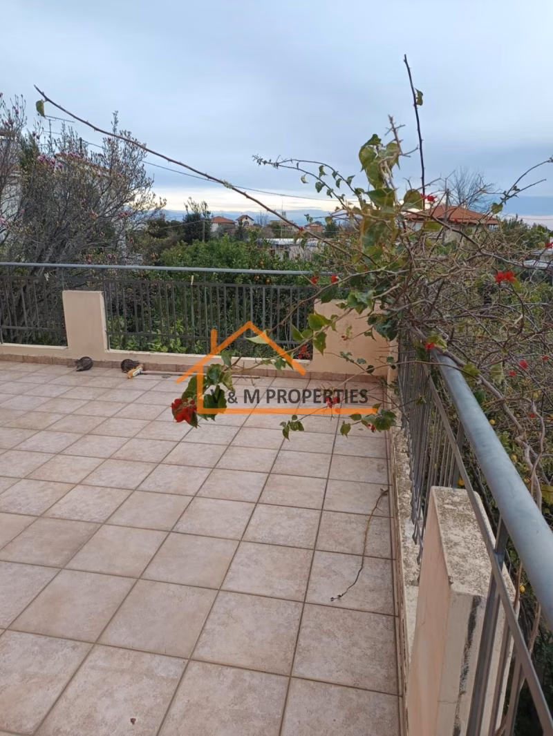 Property view 8