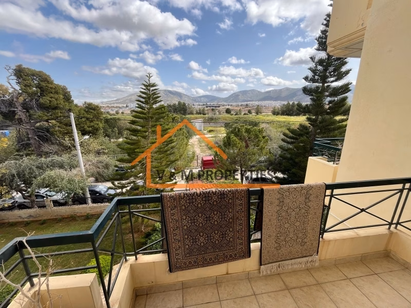 Property view 10