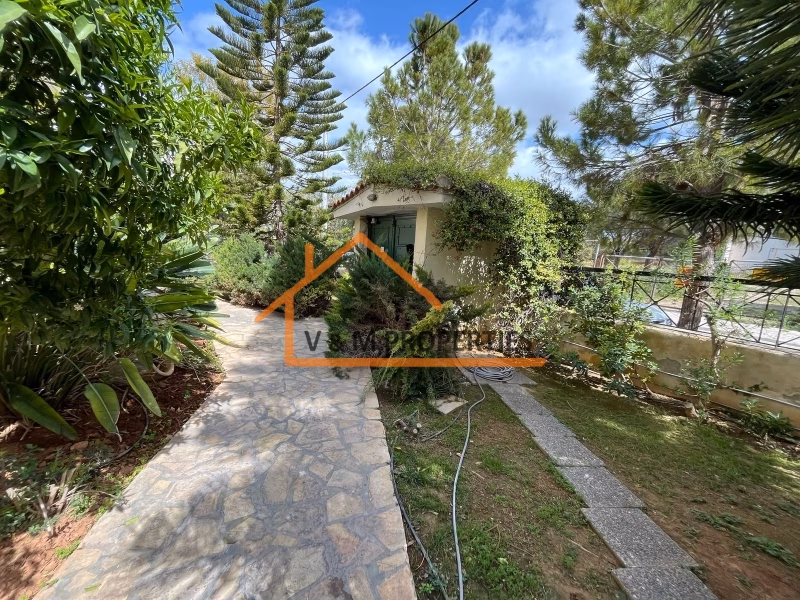 Property view 13