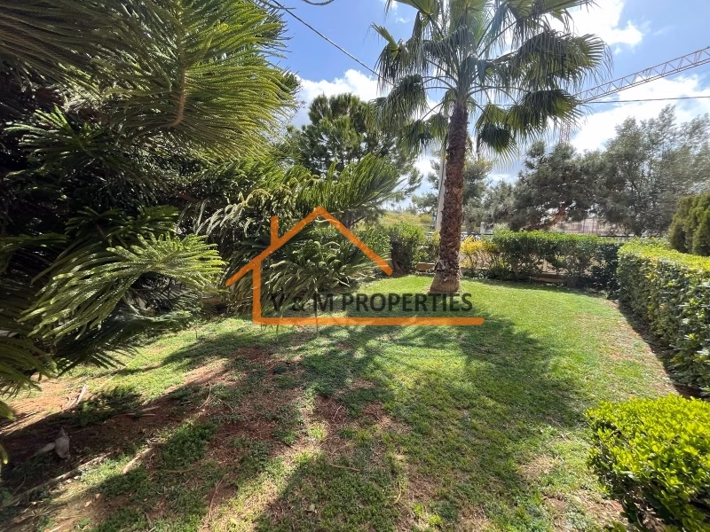 Property view 12