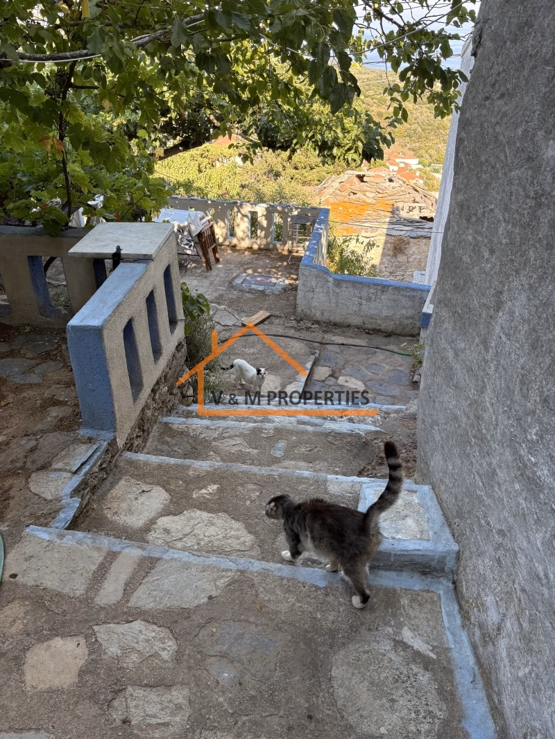 Property view 9