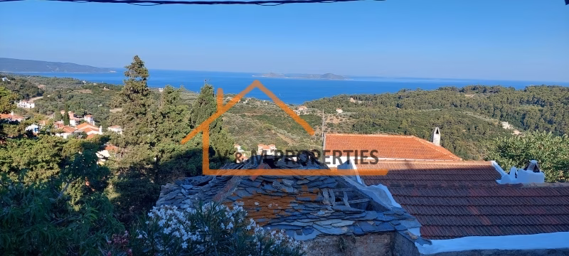 Property view 2