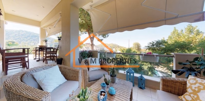 Property view 13