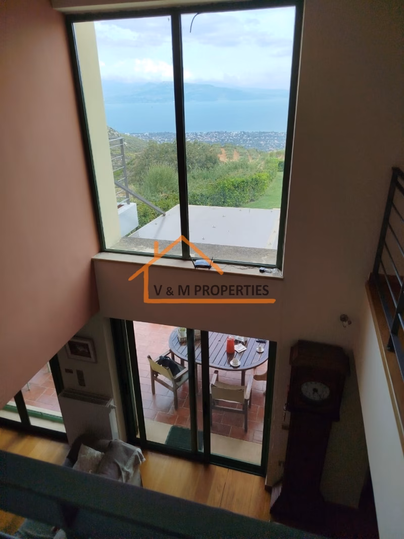 Property view 10