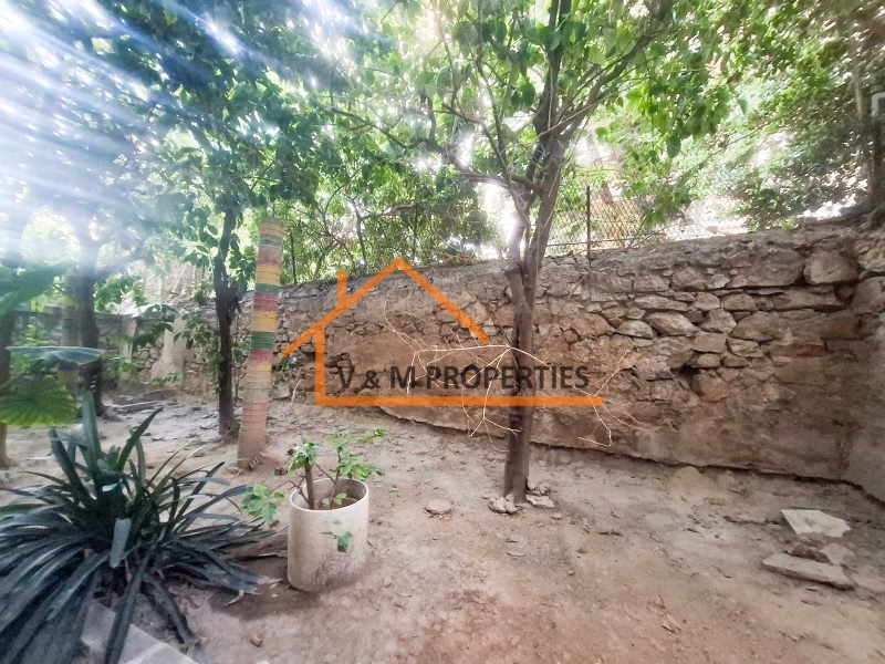 Property view 6