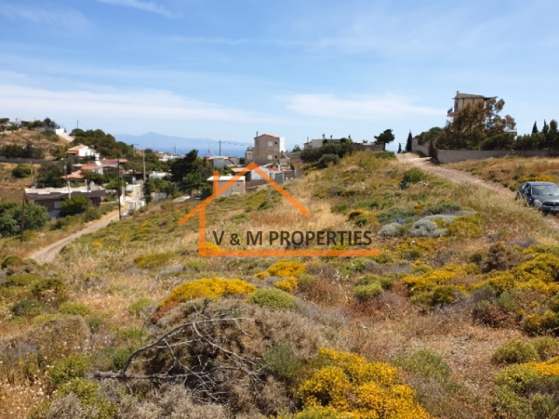 Property view 7