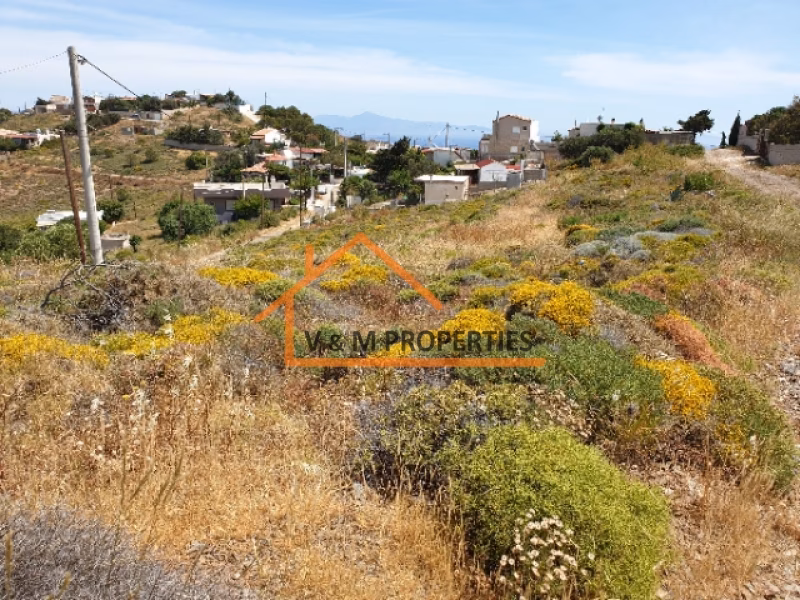 Property view 6