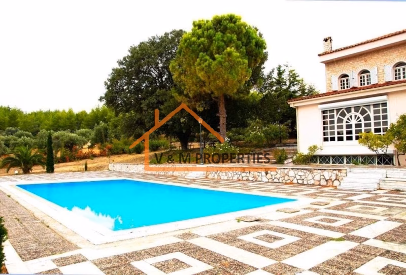 Property view 4