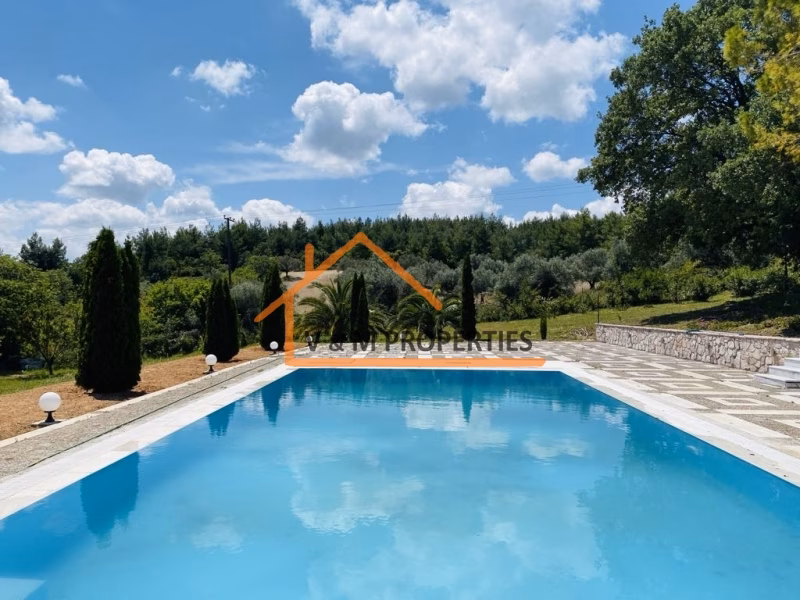 Property view 7