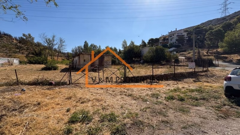 Property view 9