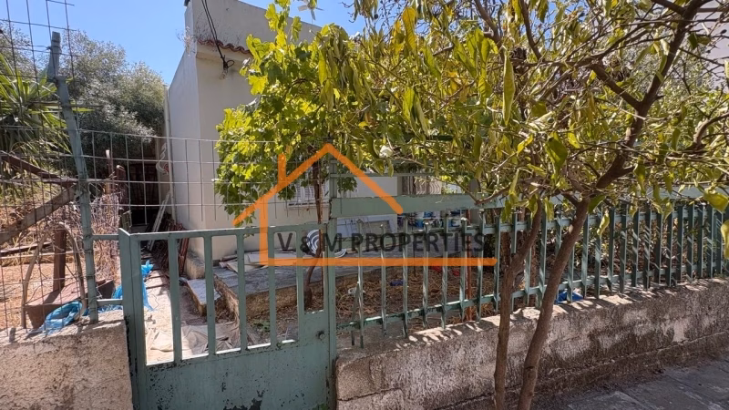 Property view 11