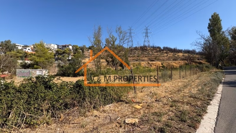 Property view 3