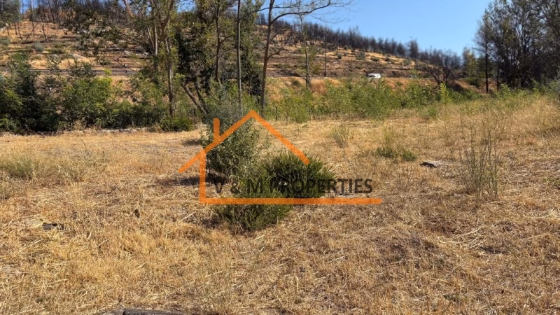 Property view 8