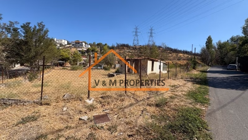 Property view 2
