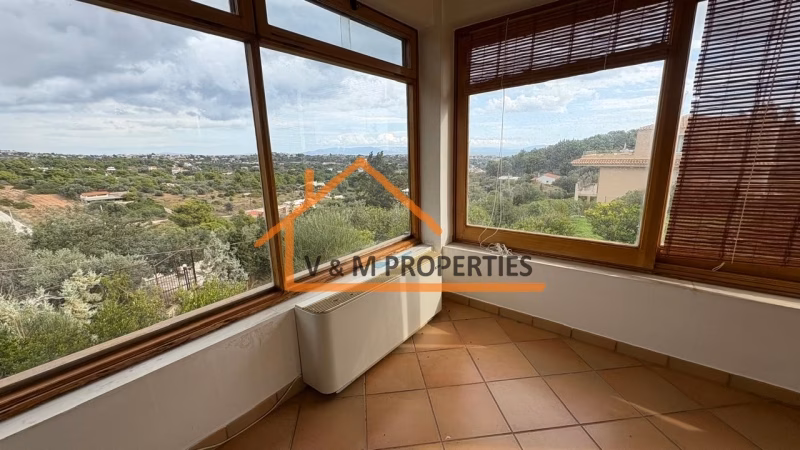 Property view 12