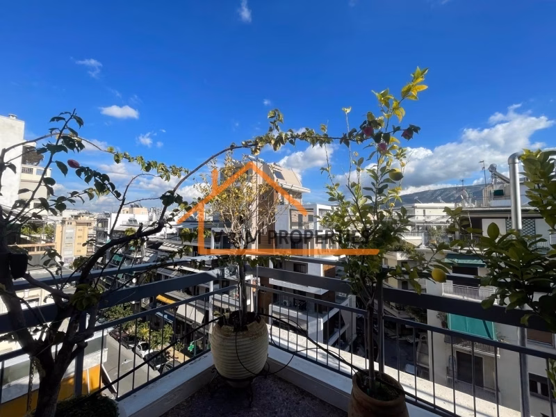 Property view 19