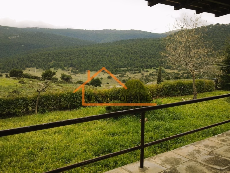 Property view 7