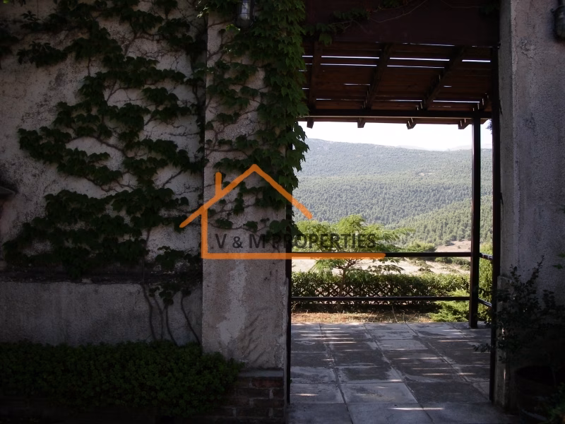 Property view 6