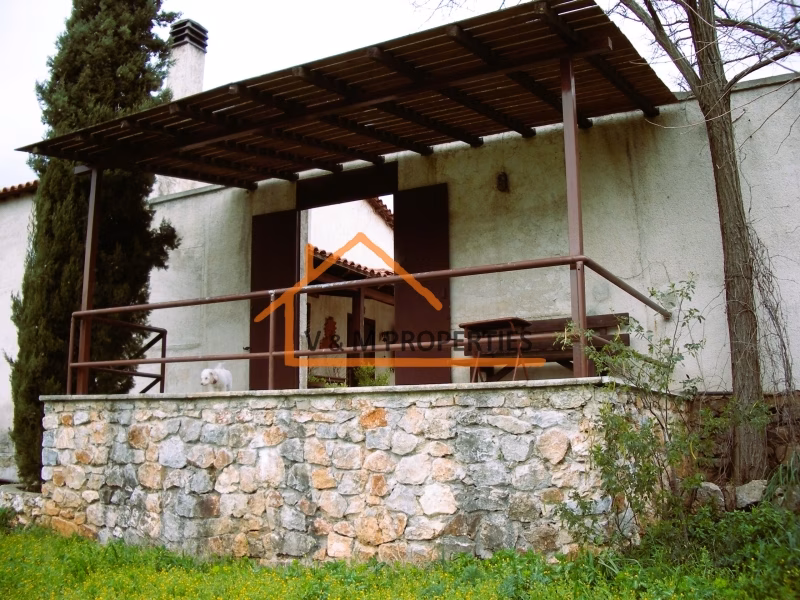 Property view 2