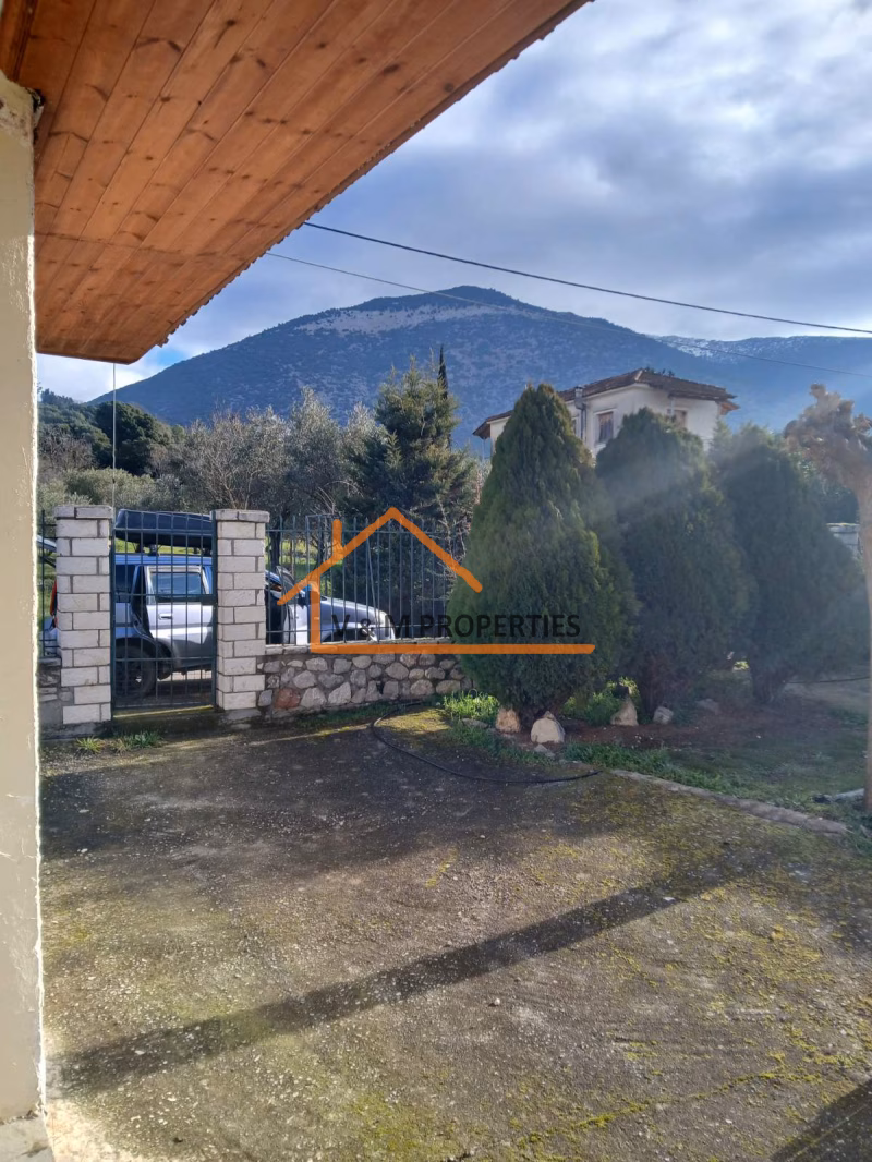 Property view 5