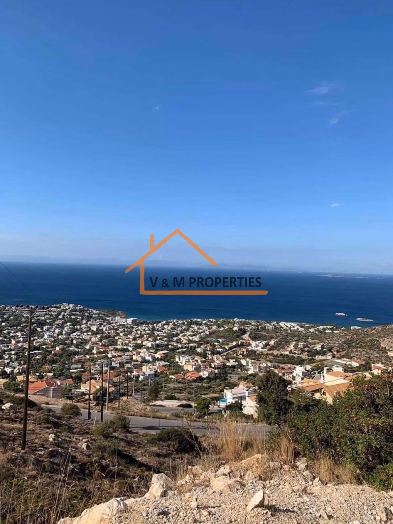 Property view 1