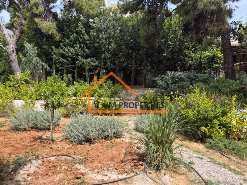 Property view 8