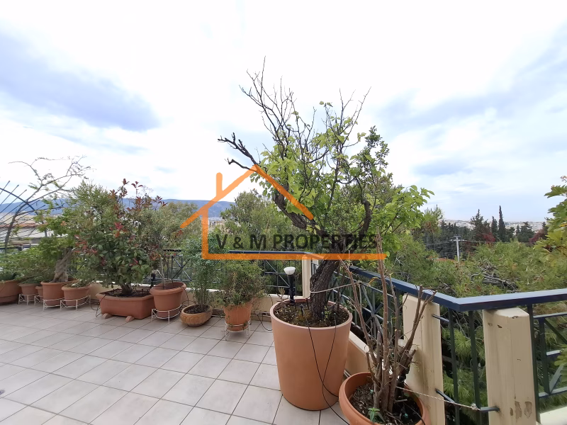 Property view 14
