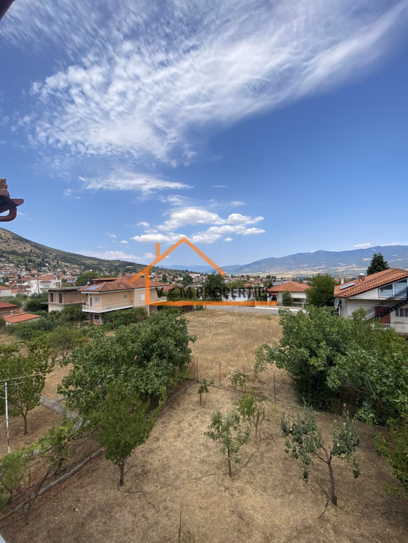 Property view 8