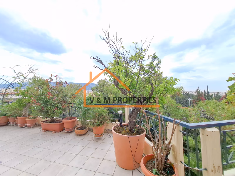 Property view 15