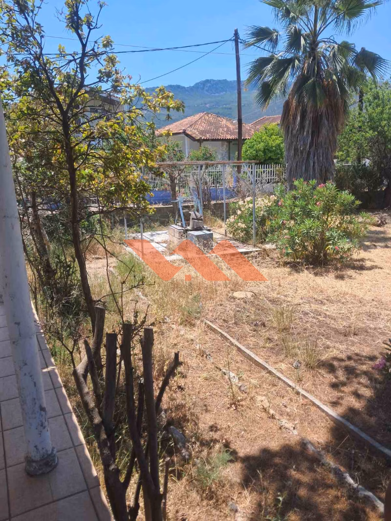Property view 13