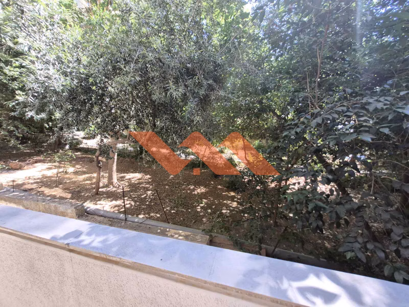 Property view 12