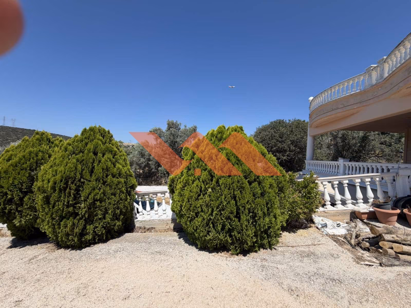 Property view 18