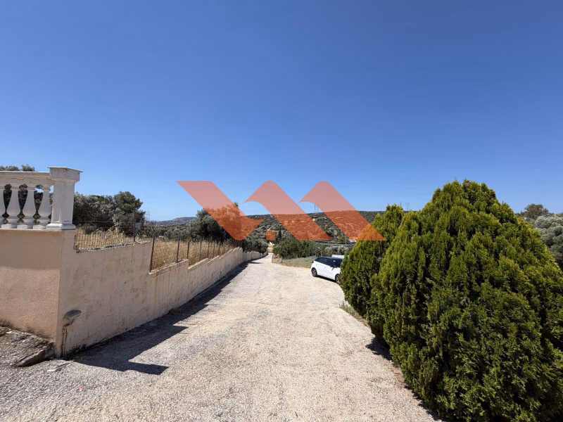 Property view 19
