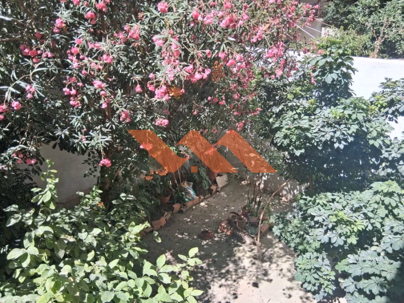 Property view 13