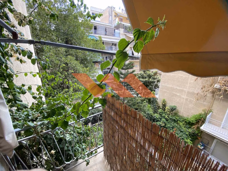 Property view 15