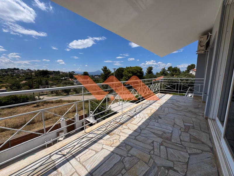 Property view 9